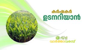 തെങ്ങിന്‍തൈകള്‍ വില്പനയ്ക്ക്