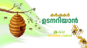 തേനിച്ചകോളനികള്‍ കൂടൊന്നിന് 1400/- രൂപ