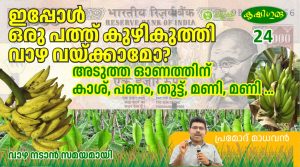 ഇപ്പോള്‍ ഒരു പത്തുകുഴികുത്തി വാഴ വയ്ക്കാമോ?അടുത്ത ഓണത്തിന് കാശ്, പണം, തുട്ട്, മണി, മണി..