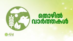 റബ്ബര്‍ഗവേഷണകേന്ദ്രത്തിൽ സീനിയര്‍ റിസേര്‍ച്ച് ഫെല്ലോ ആകാം