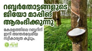 റബ്ബര്‍തോട്ടങ്ങളുടെ ജിയോ മാപ്പിങ് ആരംഭിക്കുന്നു.കേരളത്തിലെ റബ്ബറിന് ഇനി അന്തര്‍ദ്ദേശീയ സ്വീകാര്യത കൂടും.