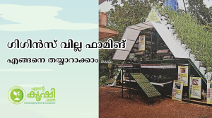 ഗിഗിൻസ് വില്ല ഫാമിങ്