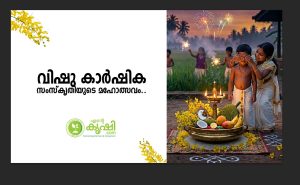 വിഷു കാര്‍ഷിക സംസ്‌കൃതിയുടെവിശ്വ മഹോത്സവം